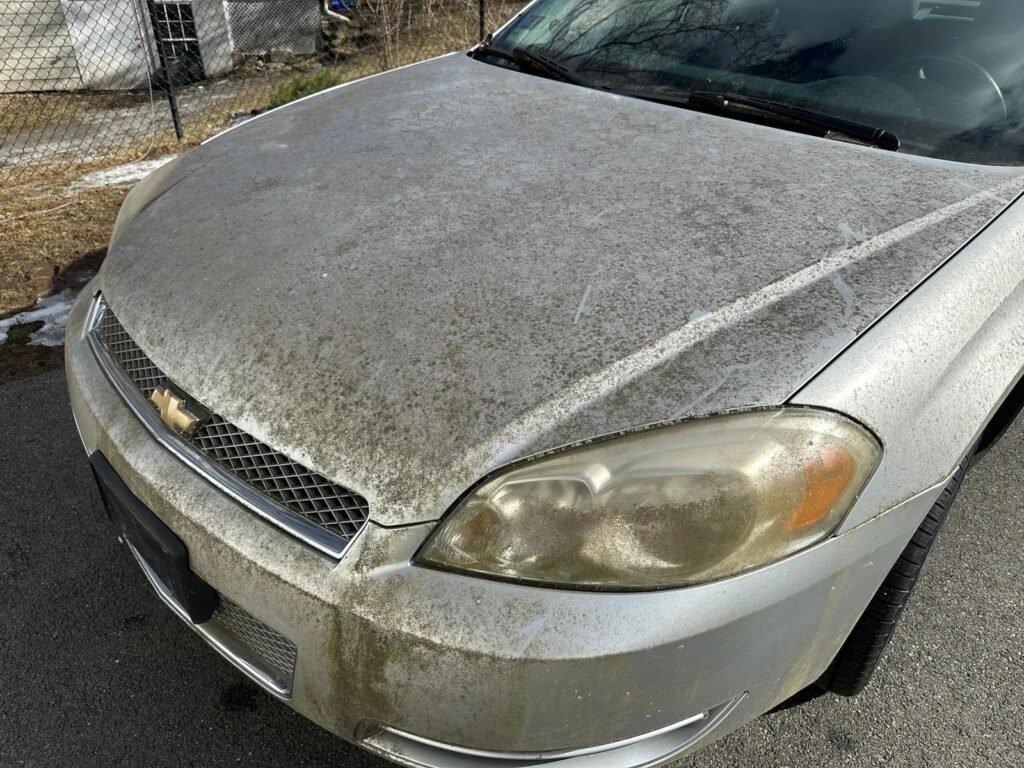 From Classic to Show-Stopper: The Transformation of a Chevy Impala (Part 1) 2 Chevy Impala hood covered in moss and dirt before detailing