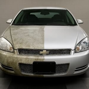 Ceramic Coating Cargo Boxes 2 Chevy Impala before and after moss removal and detailing transformation