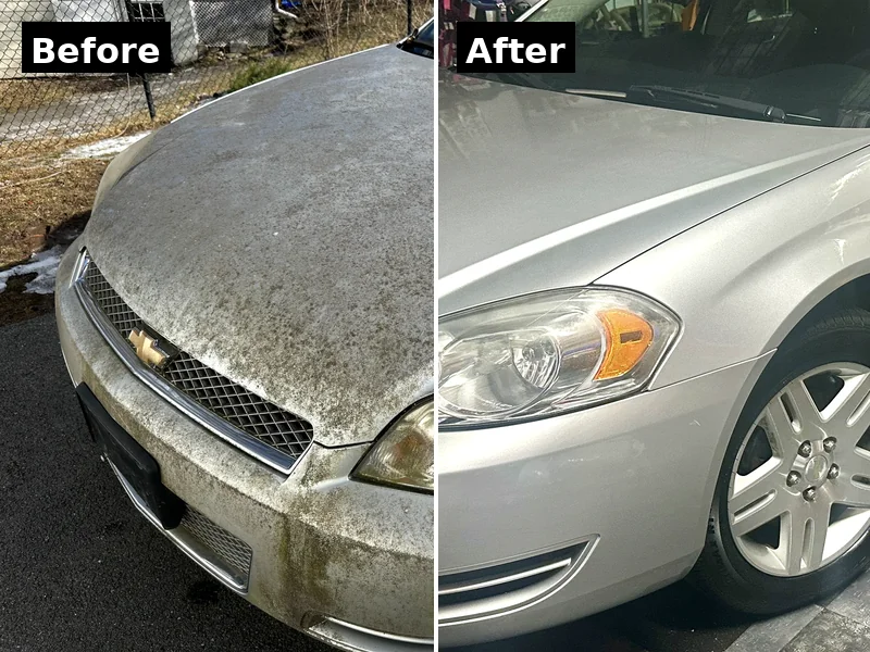 Chevy Impala hood before and after paint correction in [tmc_town] MA showing mildew removal and restored gloss
